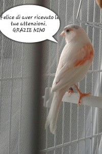 picsay-1482080687739.jpg