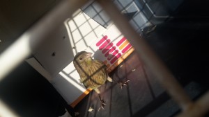 20170722_071907.jpg