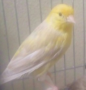 20170307_151525-1-1-1.jpg