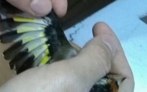 IMG_20171105_221157.jpg