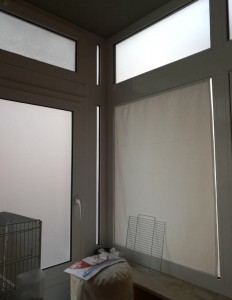 IMG-20171211-WA0008.jpg