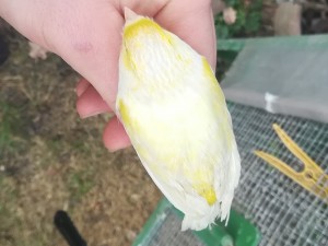 IMG_20180114_141443.jpg