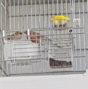 20180407_120236.jpg