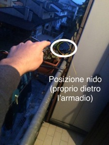 02E0FD58-31D1-4F29-8586-1D8676EF9A93.jpeg