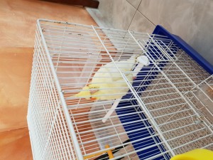 20180408_170540.jpg