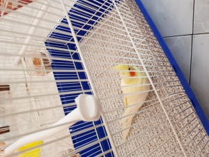 20180408_165239.jpg
