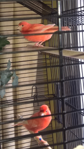wp_ss_20180412_0009.png