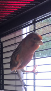 wp_ss_20180412_0004.png