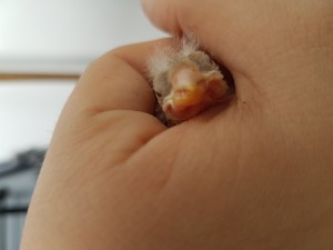 20180417_153042.jpg