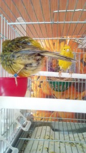 IMG-20180419-WA0000.jpg