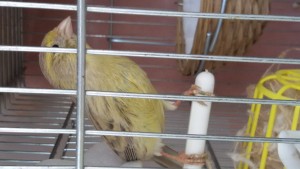 20180419_133958.jpg