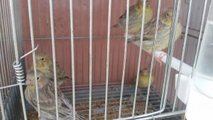 20180420_093108.jpg