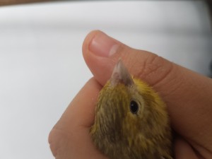 20180504_142300.jpg