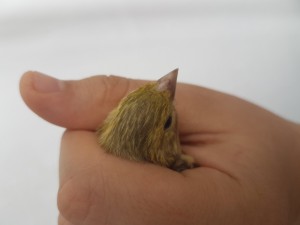20180504_142319.jpg