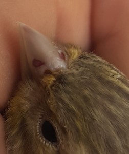 20180505_131647.jpg