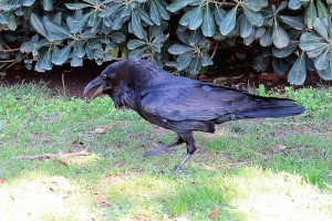 IMG_1423.JPG