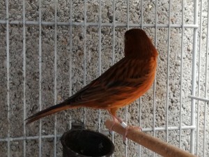 IMG_20180528_121616.jpg
