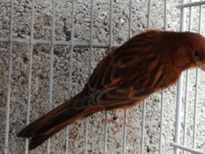 IMG_20180528_121458.jpg