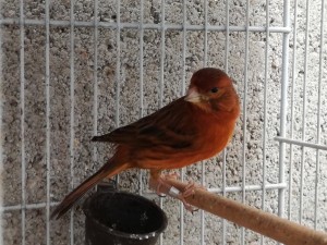 IMG_20180528_121555.jpg