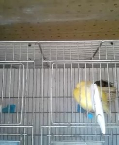 B047BB48-3317-466C-923E-4FBE37F0483E.jpeg