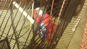 20180612_003029.jpg