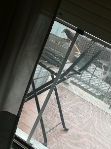 L'unica foto che sono riuscita a fare..