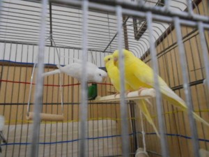 DSCN4148.JPG