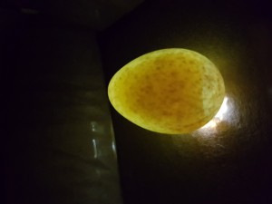 20180703_212822.jpg