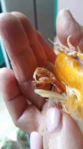 2018-07-22 14.12.12.jpg