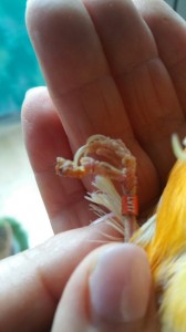 2018-07-22 14.10.59.jpg