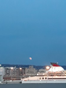 IMG-20180727-WA0014.jpg