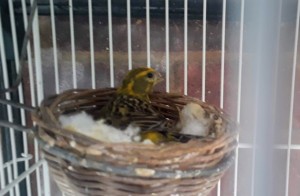 20180729_144931 (1).jpg