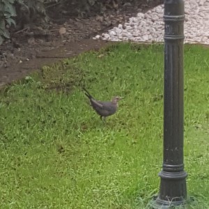 20180920_164200.jpg