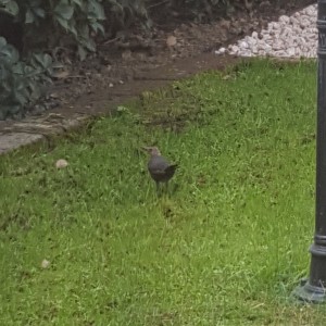 20180920_164626.jpg