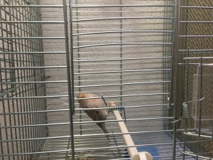 B8845ABD-B20C-4218-9272-CF32D3965534.jpeg