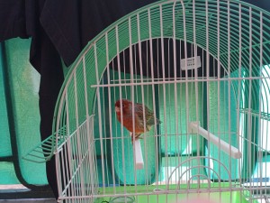IMG_20181026_145200.jpg