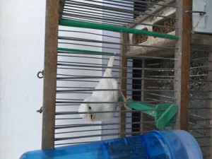 58C9C937-2CF0-4750-A64D-A16B0ADAD420.jpeg