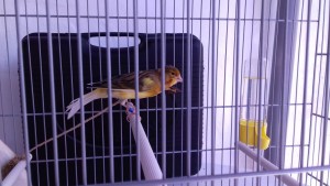 IMG-20190206-WA0013.jpg