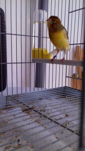 IMG-20190206-WA0015.jpg