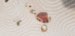 20190406_105822.jpg