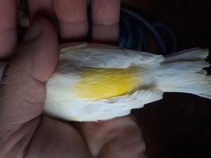 20190507_171852.jpg