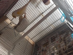 20190507_172228.jpg