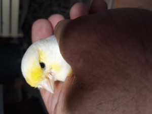 20190507_171914.jpg