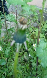 IMG_20190523_192425.jpg