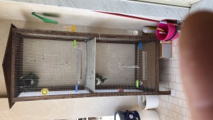 Ti mando foto del posto dove sono dimmi se va bene