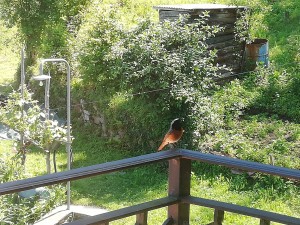IMG_20190531_110931.jpg