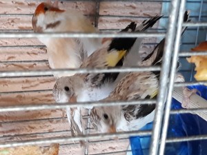 20190621_154508.jpg