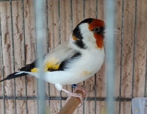 20180722_190013.jpg