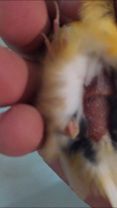 F106AAC3-E194-4627-A6F5-17BA1B54B3EF.png