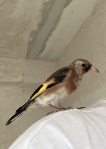 IMG_E4129.jpg